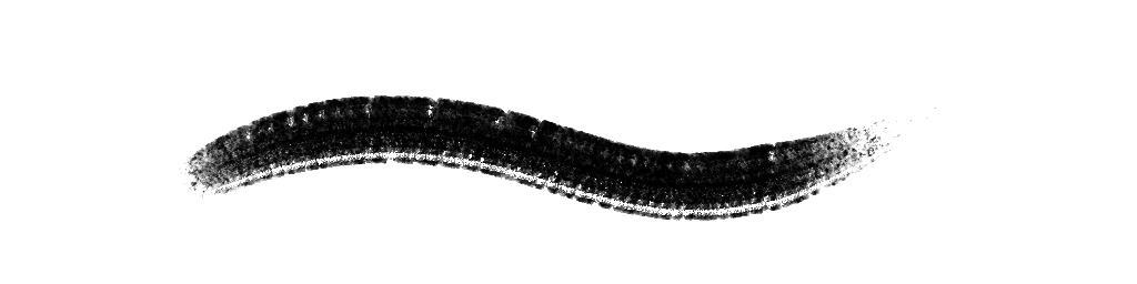 DAUB | brushes25