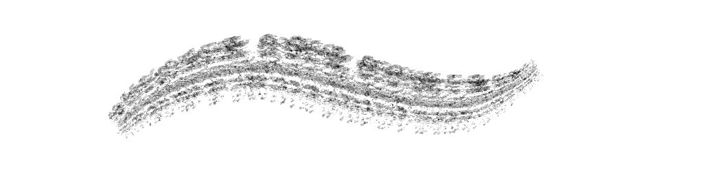 DAUB | brushes31